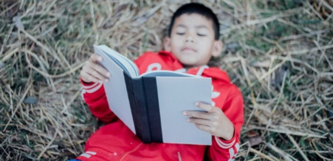 Dia da Doação de Livros