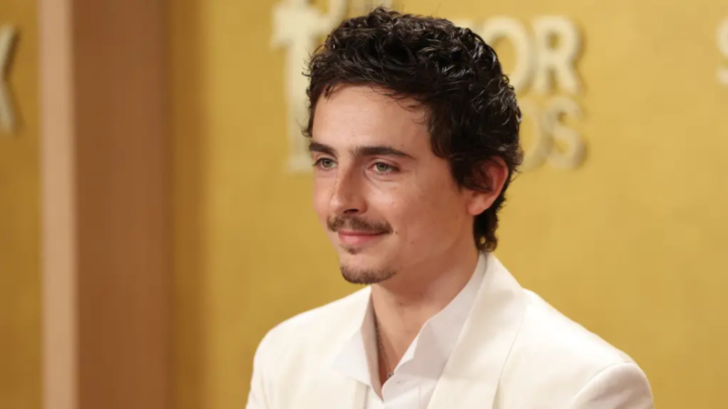 Polêmica envolvendo Timothée Chalamet agita reta final do Oscar