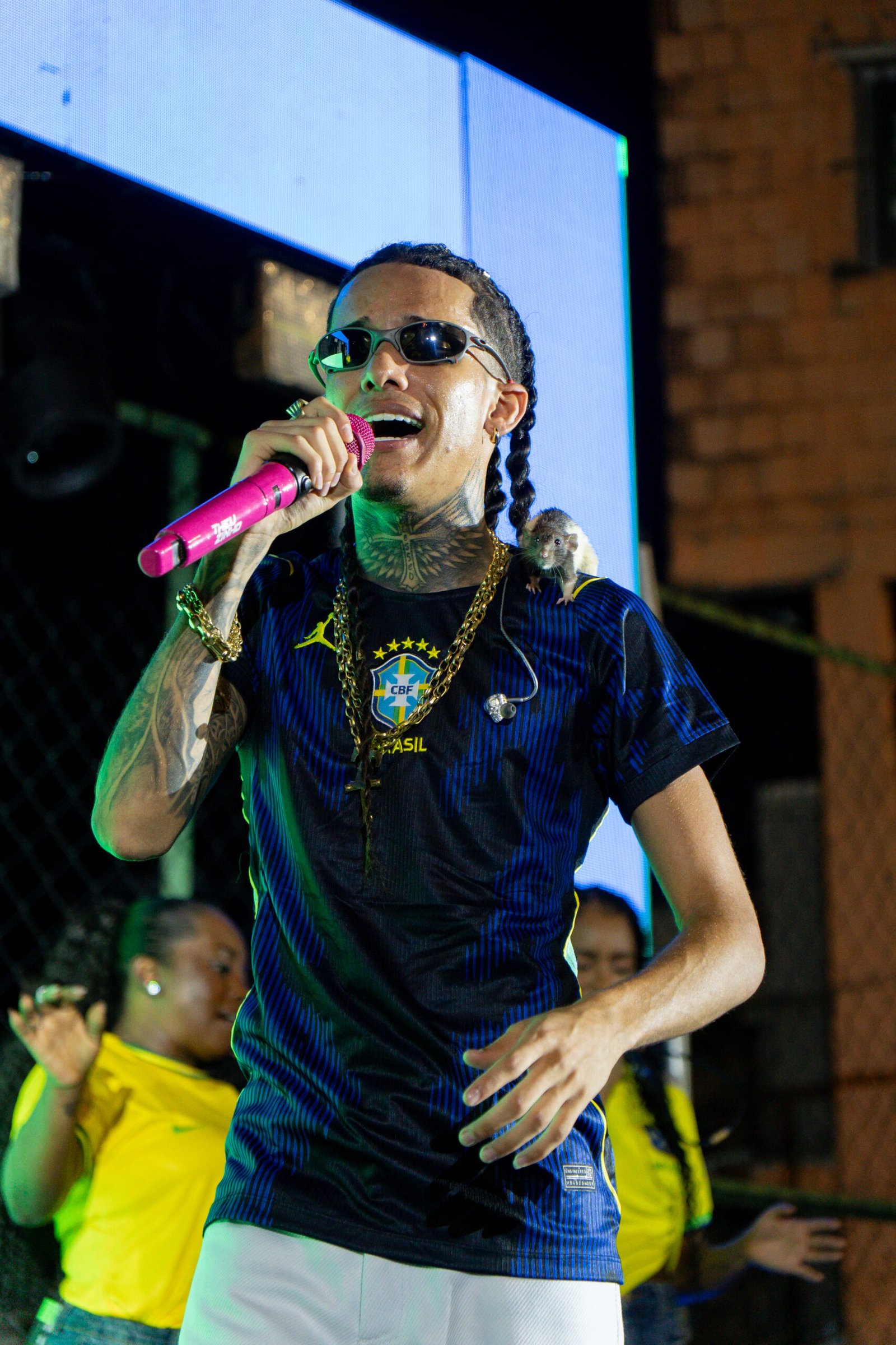 “A Favela Tá Gostosa 5.0” impulsiona números de Theuzinho no streaming