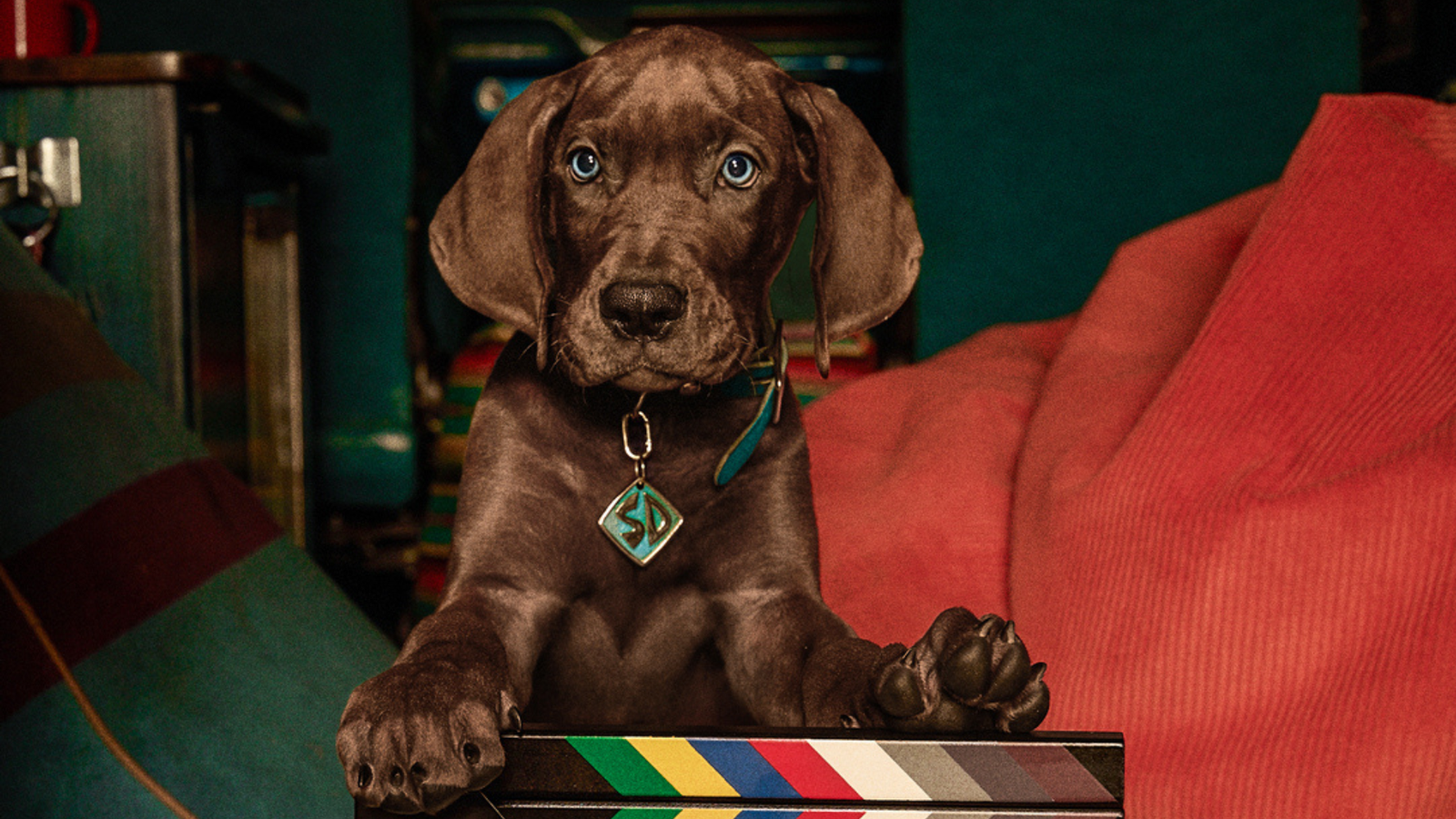 Scooby-Doo: A Origem encerra gravações e estreia em 2027
