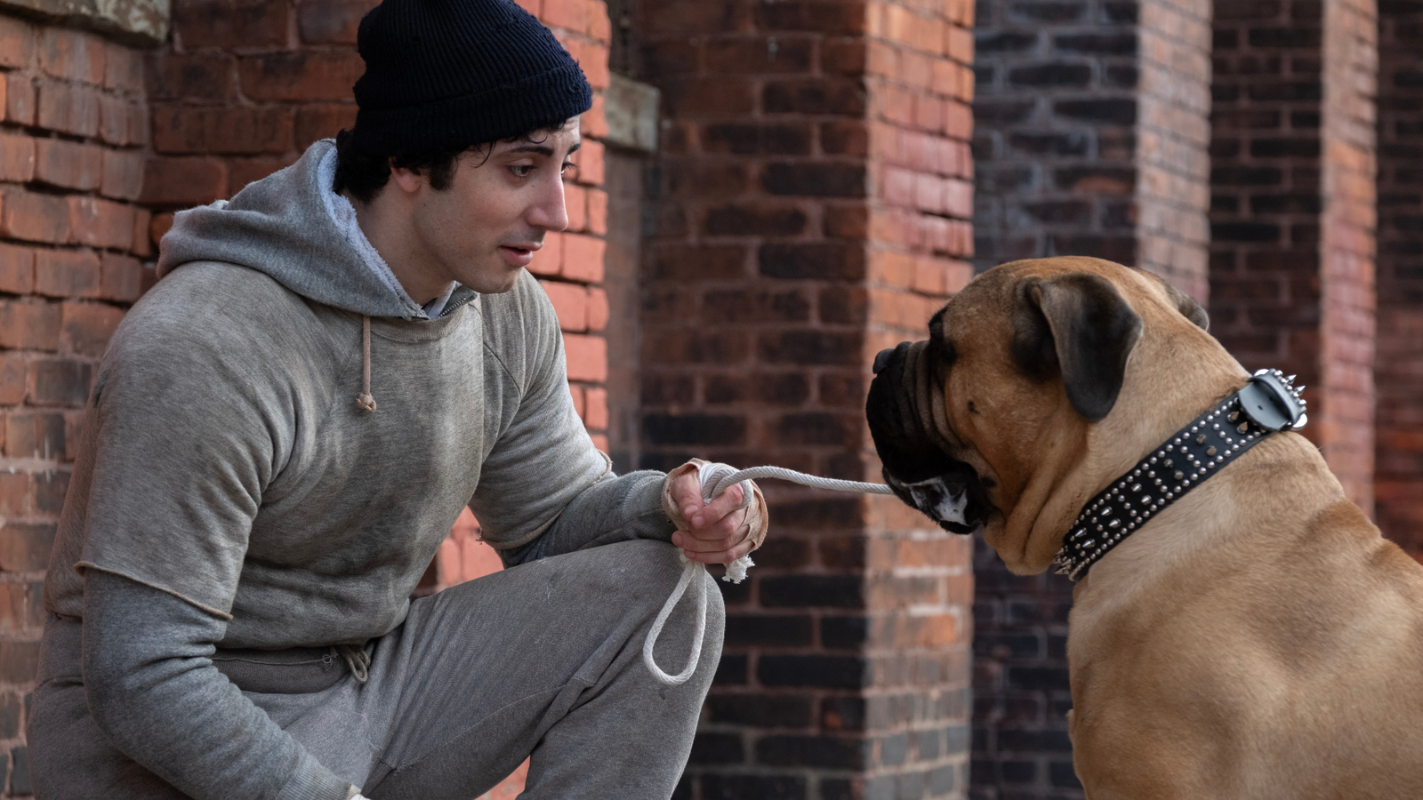 Eu Sou o Rocky ganha trailer dublado; assista